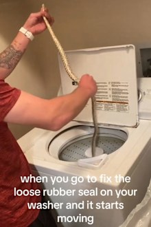 Couple pulls snake from washing machine while fixing loose rubber seal