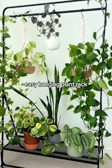 Mariah uses a clothes rack to hang her hanging indoor plants.