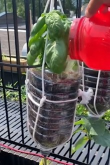 Gardening hacks