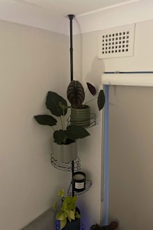 The telescopic shower caddy from Kmart in silver painted black by a customer