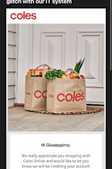 coles online customers computer glitch