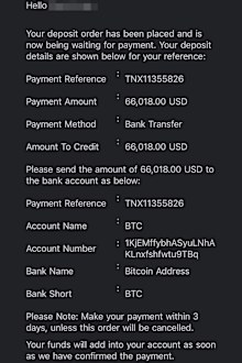 Renae ending up losing $120,000 in the cryptocurrency scam.