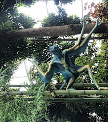 Gardens by the Bay Singapore 