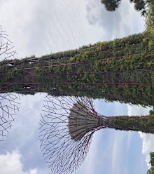 Gardens by the Bay Singapore 