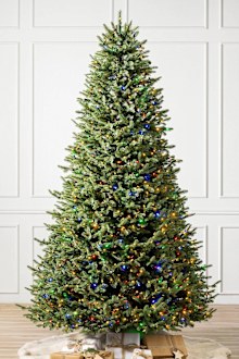 The $60 tree that seemingly never arrives in the mail.