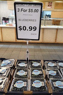 Blueberries fruit shop special
