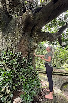 sami lukis wellness retreat review
