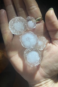 Golf-ball sized hailstones in Lockhart NSW 