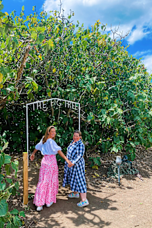 Adelady hosts visit the Enchanted Fig Tree dining experience on Kangaroo Island