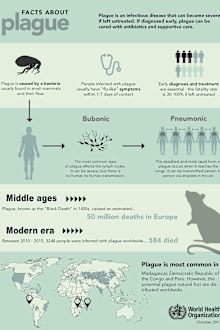 Plague is an infectious disease found in some small mammals and their fleas.