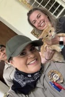 Dick Van Dyke's cat Bobo has been found safely by Animal Control