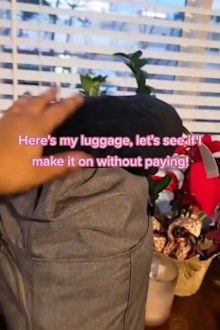Genus tiktok travel hack