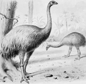 Why we shouldn’t bring back extinct species