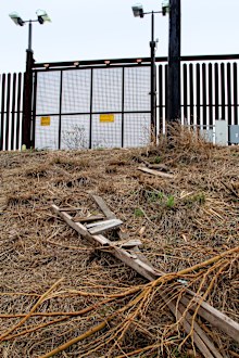 Scott Nicol Texas Border Wall cheap wooden ladders