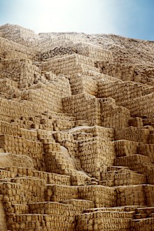 Wari