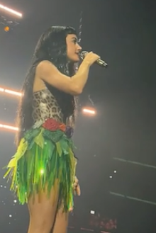 Katy Perry Lifetime tour 