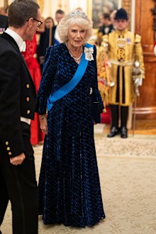 LONDON, ENGLAND - NOVEMBER 13: Queen Camilla arrives to the Diplomatic Corps reception at Buckingham Palace on November 19, 2024 in London, England. (Photo by Aaron Chown - WPA Pool/Getty Images)