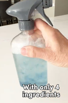Woman shares DIY streak-free spray that repels fingerprints