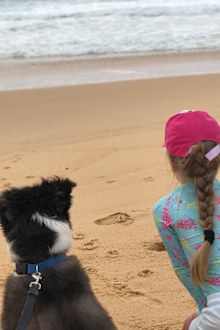 Holidaying with pets, dog and girl on beach