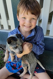 brothers born with Hirschsprung's disease rare life-threatening condition