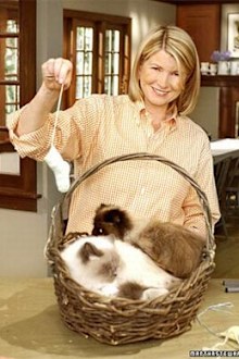 Stars and their cute kitties!