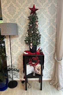 Shelly xmas