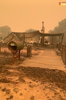 Australian bushfires: Dairy farmers forced to pour milk down drain ...
