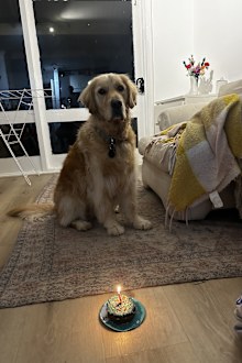 Nelson celebrating his third birthday