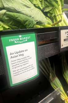 bok choy and pak choy shortage coles woolworths box divvy market update