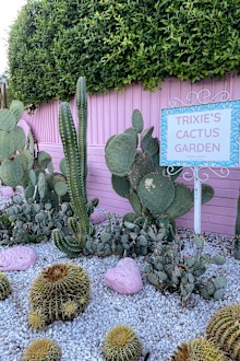 Why you should book a stay in Palm Springs
