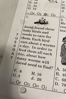 Reddit, mildlyinfuriating, year 3 maths problem