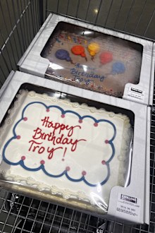 costco sheet cakes troyvia troy culpan trivia host cat & fiddle hotel balmain