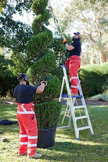 The grand prix of topiary the block 2022