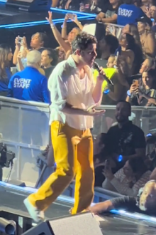 Nick Jonas falls into a hole on stage.