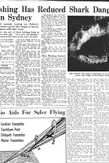 A 1950 article in the Sydney Morning Herald about shark prevention during summer.