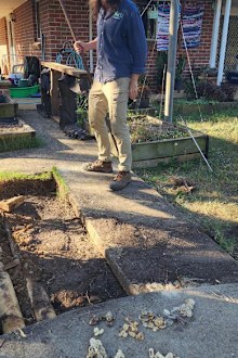 Snake catchers from Wild Conservation discovered an are Eastern brown snake nests containing 110 hatched eggs in Sydney.