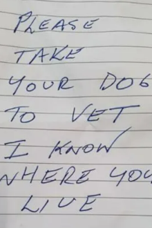 Baghdad the dog's menacing message