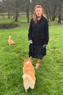 Sarah Ferguson on Christmas with the late Queen Elizabeth's corgis