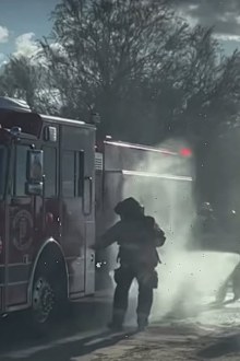 fire crew rescues family from bee attack