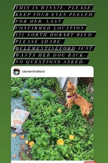 Sarah Paulson helped in the search for Clementine Ford's dog Winnie.