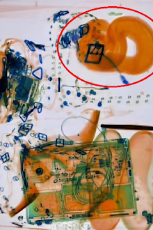 snake on plane tsa post
