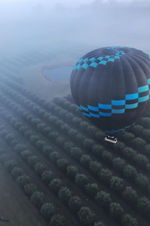 Ballooning in the Hunter Valley over a vineyard