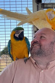 Michael Clancy Parrots for Purpose