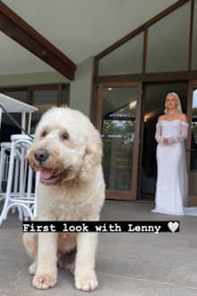 Adorable moment DJ Tigerlily's dog Lentils sees her bride reveal on her wedding day.