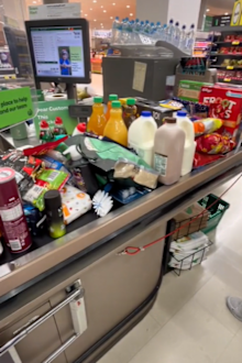 grocery cost at supermarket mother of five