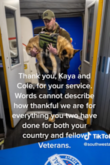 service dog's final flight following cancer diagnosis