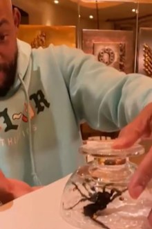 Will Smith returns to Instagram with spider video.