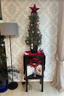 Shelly Horton's Christmas tree 