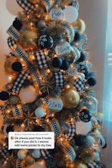 Ninoshka, has garnered plenty of internet attention after sharing a video to TikTok of her balloon-decorated tree.