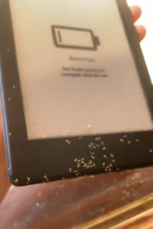 Ants in Amazon Kindle